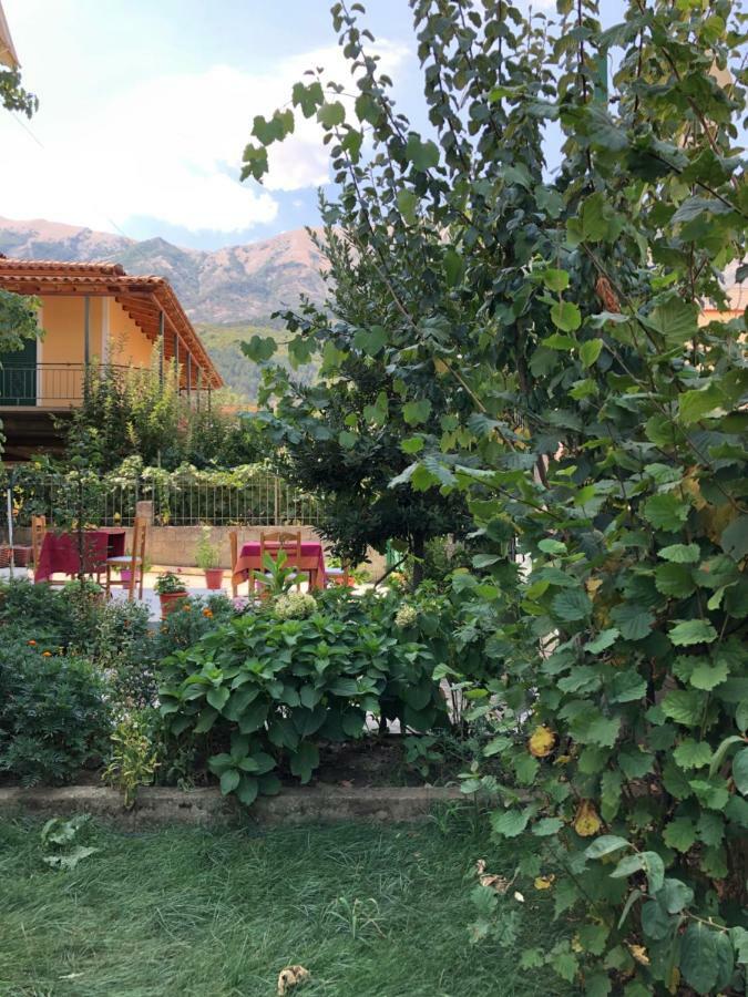 Hotel Villa Ago Përmet Eksteriør bilde